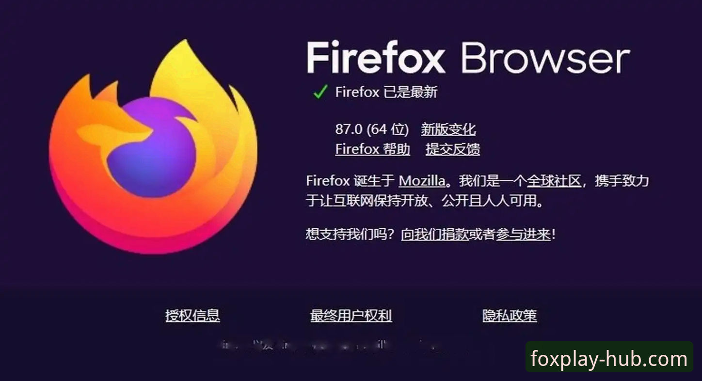 火狐浏览器深度评测：从隐私保护到性能优化的完整使用指南